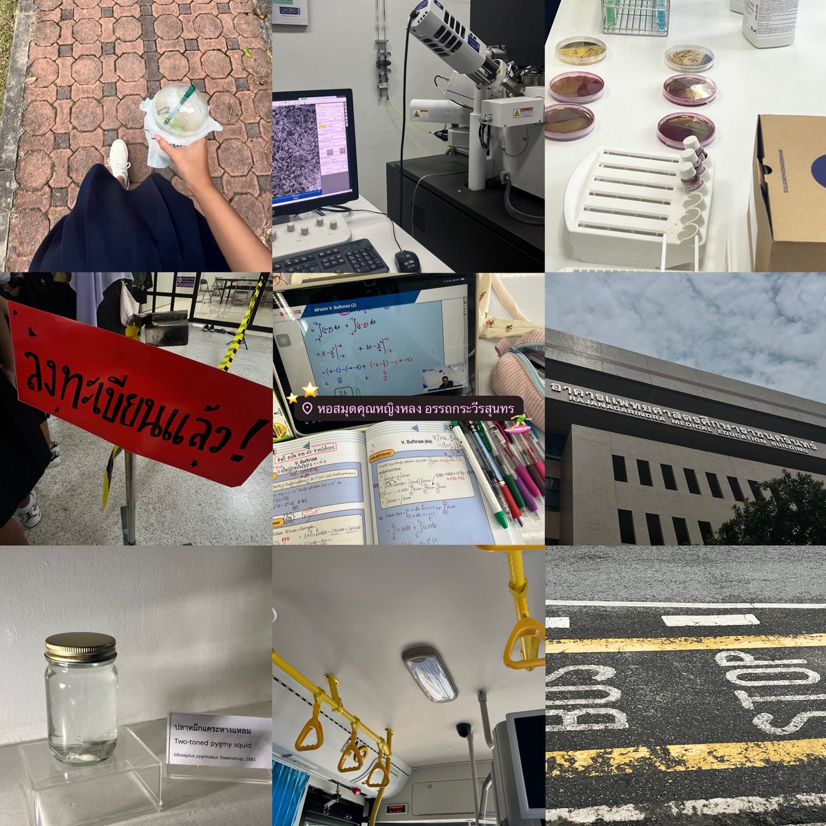 myyismrspp's tweet image. 1 𝒟ay with open 🏡 ( @ team psu ) ♥️✿

‧˳ 𐙚🍹#pfxfxsdiary #studywithpsep 🪽