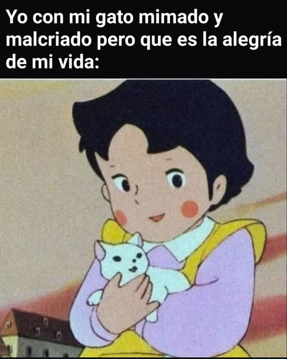 Ana_LaPatata (@ymuchosmemes) on Twitter photo 