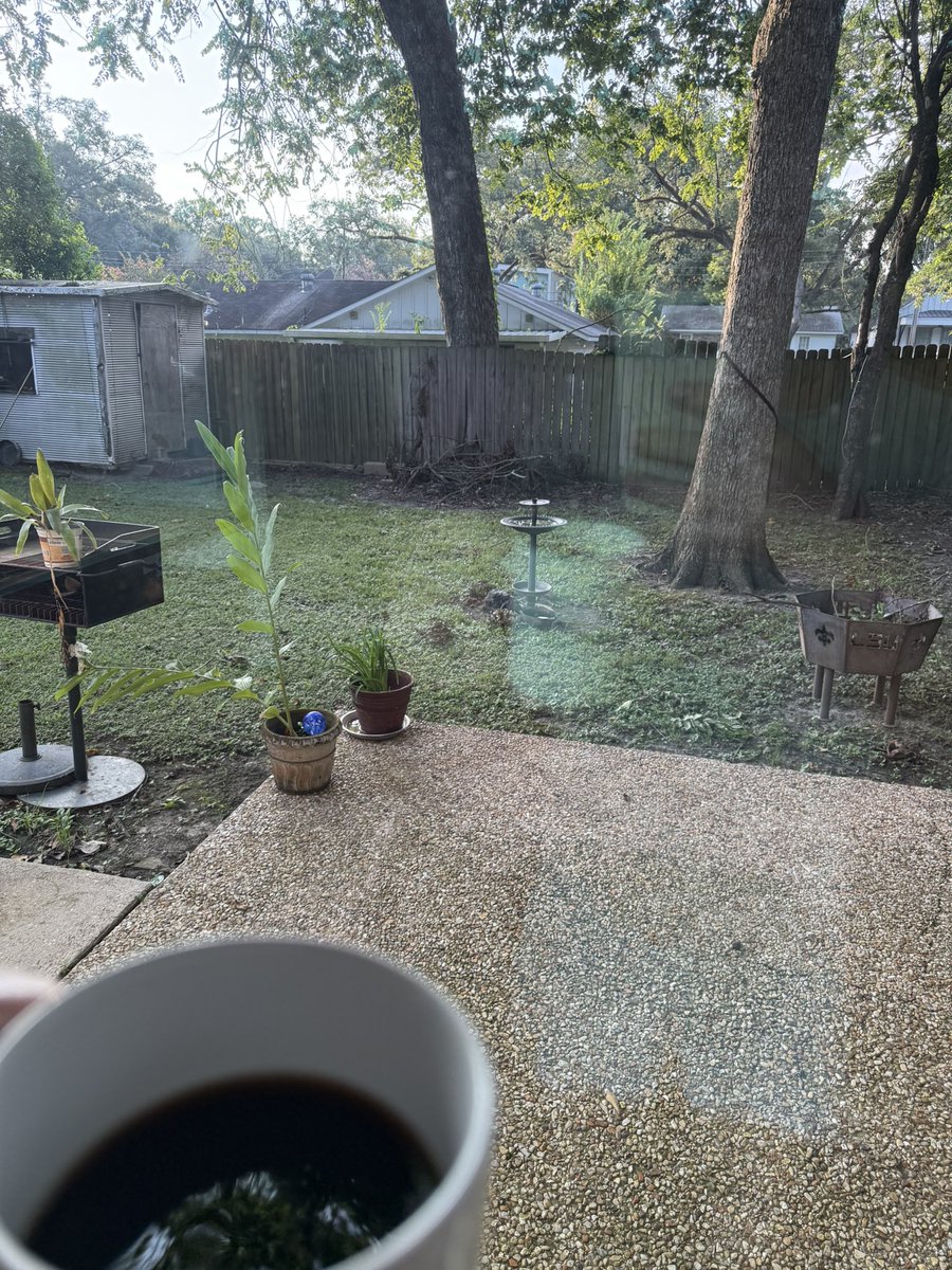 World Famous LSU Fanbulance! (@marksmaint) on Twitter photo Good Morning Good Morning