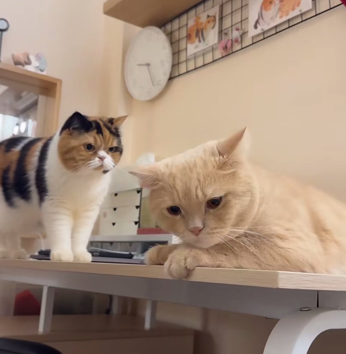 <a href="/yayee2548/">บีมกับน้องๆ</a> ชั้นก็โดนเหมือนกัน แกจะนอยเพื่อ! ไอป้อง