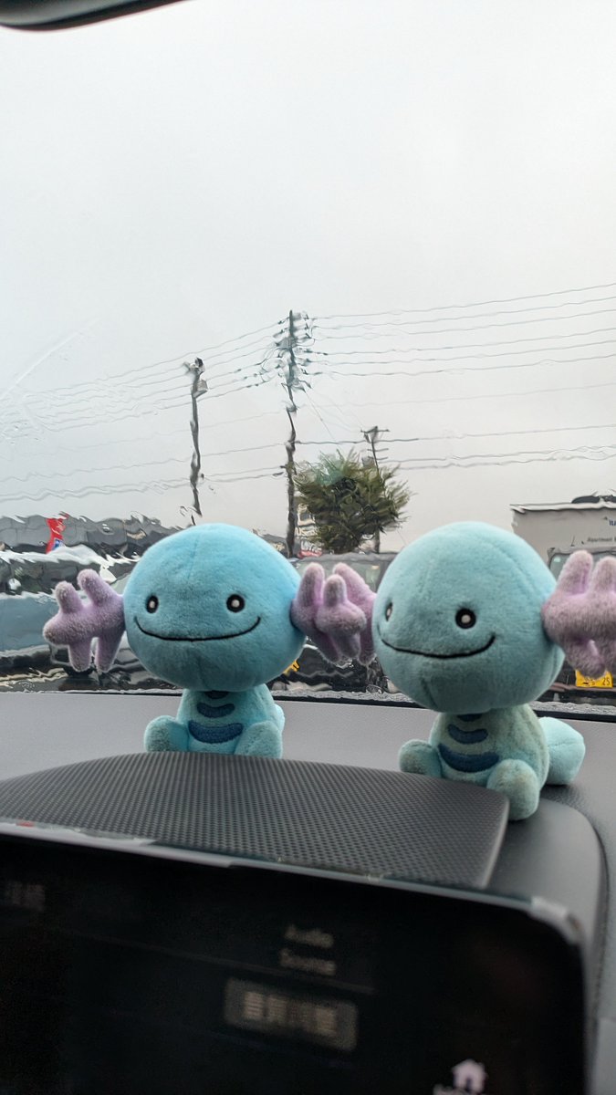 雨のおでかけ☔
#毎日ウパー