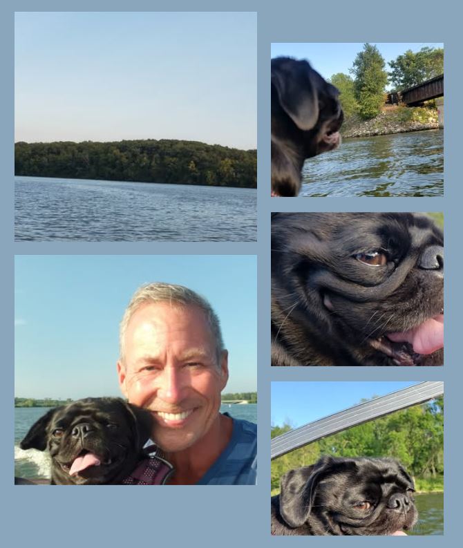 PeoplesAnthony's tweet photo. Our neighbor/friend, Jan, took us on a pre-sunset #LakeDecatur boat π₯οΈ ride.
#Pug Xanadu loved the breeze in her face! β€οΈ
#Summer, I'm still ready for #fall π! https://t.co/5S6Jlye5co