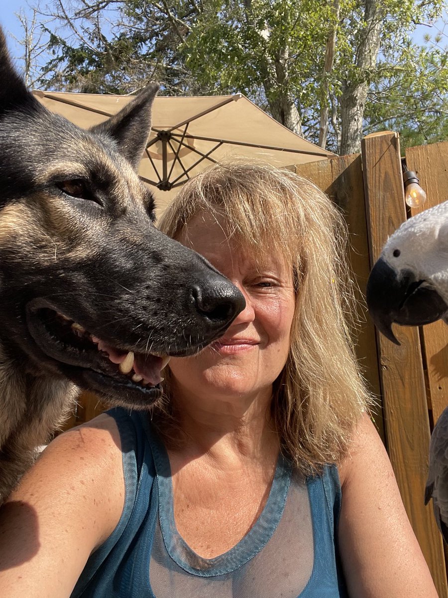 This is all I dreamed of when I was a little girl