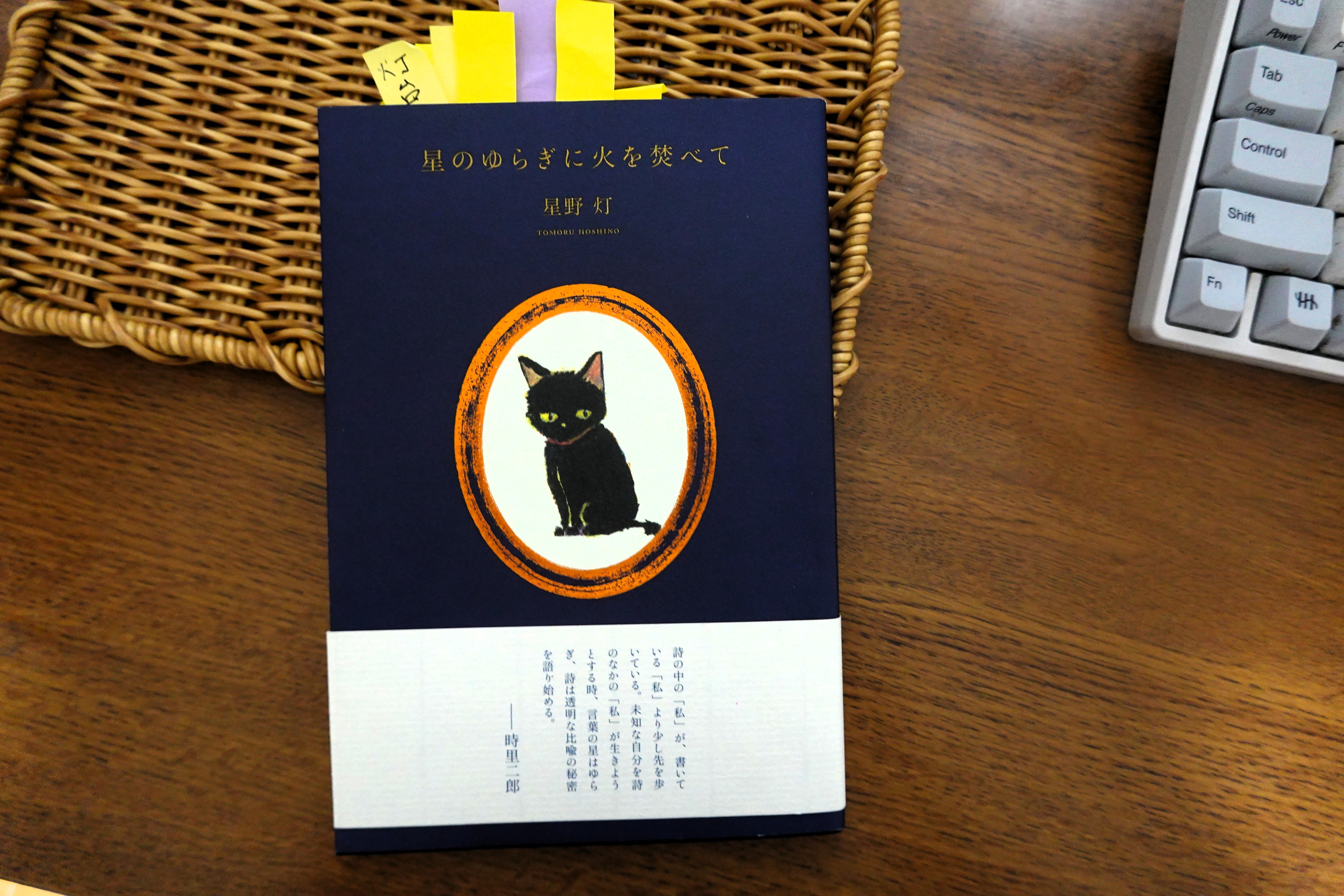 詩經2冊　文選7冊　集英社 File:NLC416-07jh012247-60048 文學集刊.pdf - Wikimedia Commons
