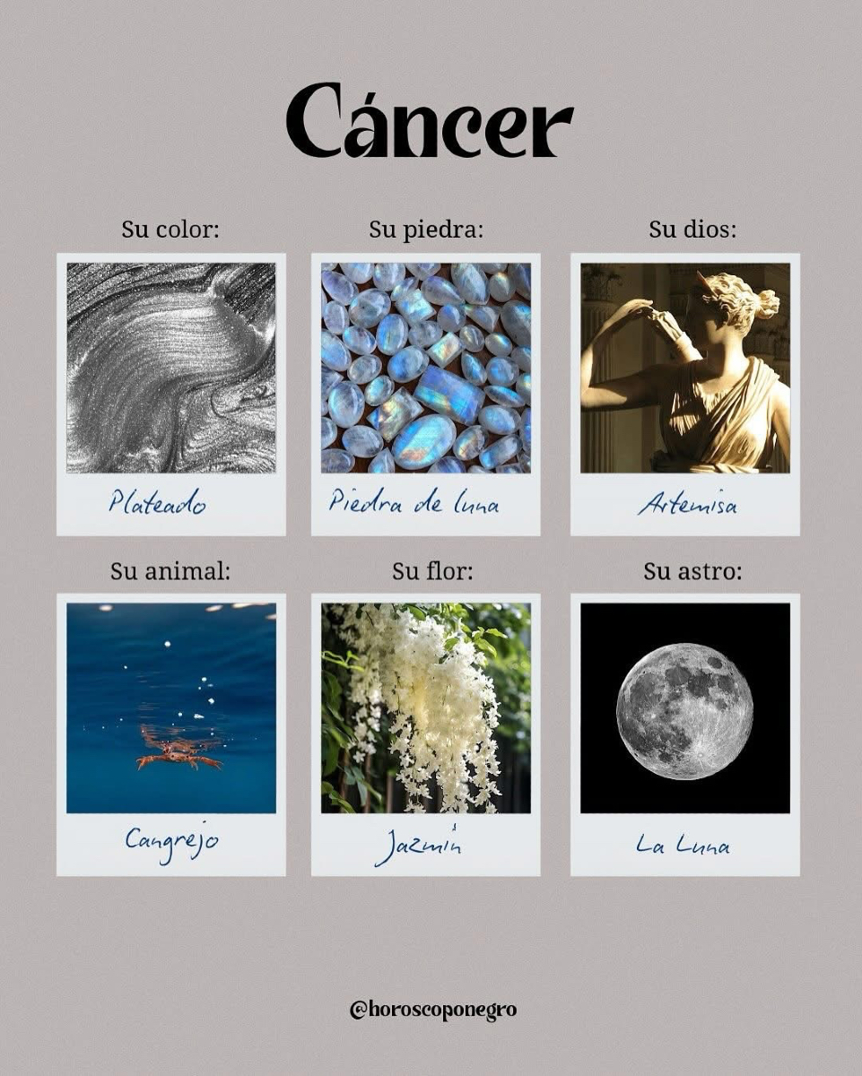 cancer_hn's tweet photo. ✨ Guía rápida para conocer lo esencial de tu signo 🌙 https://t.co/jep76kkIwQ