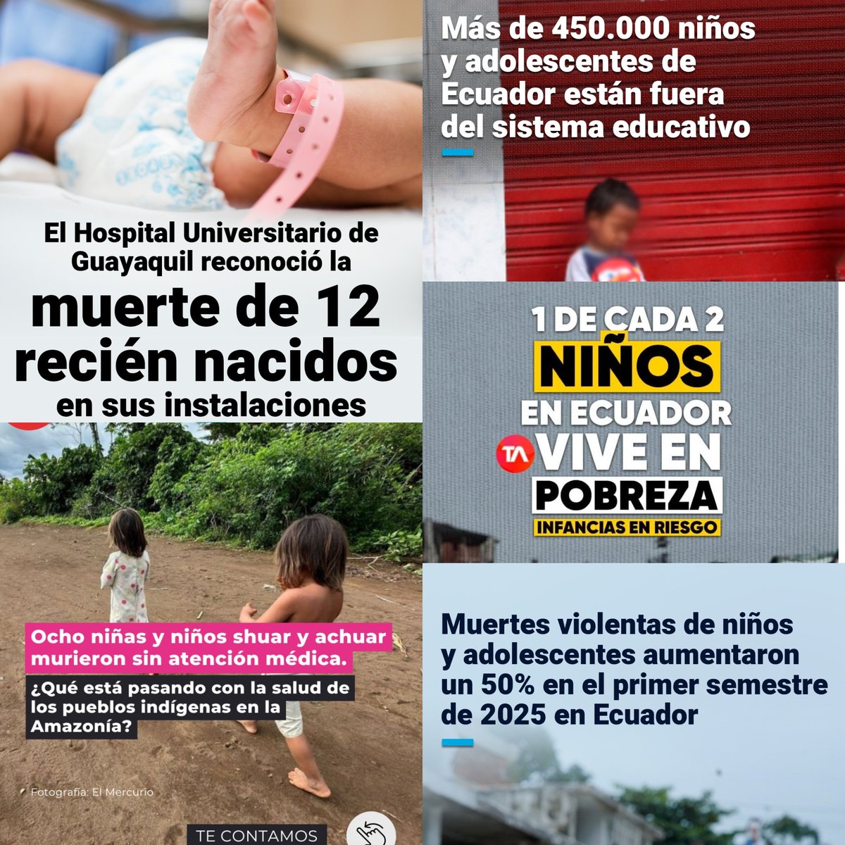 DanielGranjaEc's tweet image. Daniel Noboa está destruyendo el futuro del Ecuador 👇🏼
📌 12 neonatos fueron asesinados en el Hospital Universitario de Guayaquil.
📌 8 niños y niñas murieron en Taisha por la falta de acceso a salud en sus comunidades.
📌 Más de 450 mil niños, niñas y adolescentes están fuera