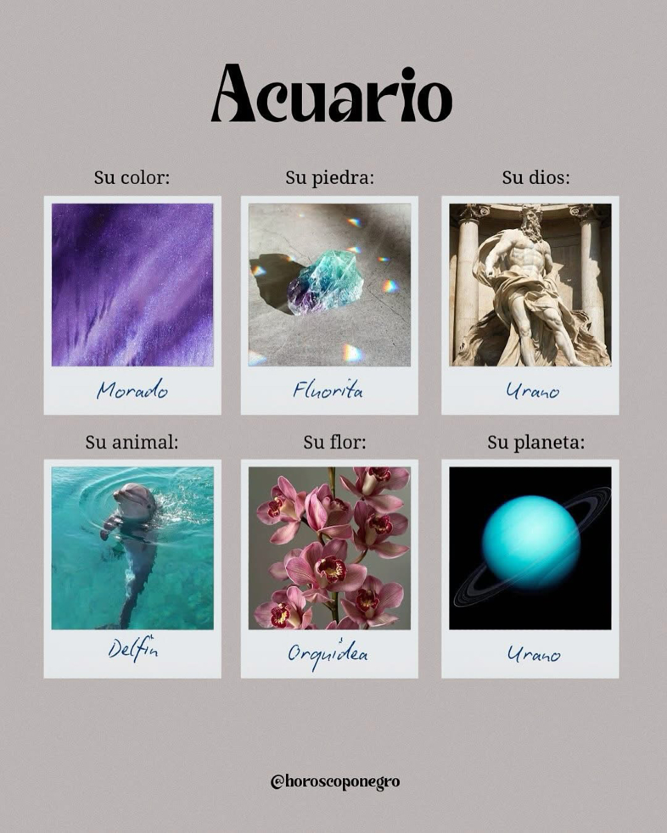 ✨ Guía rápida para conocer lo esencial de tu signo 🌙