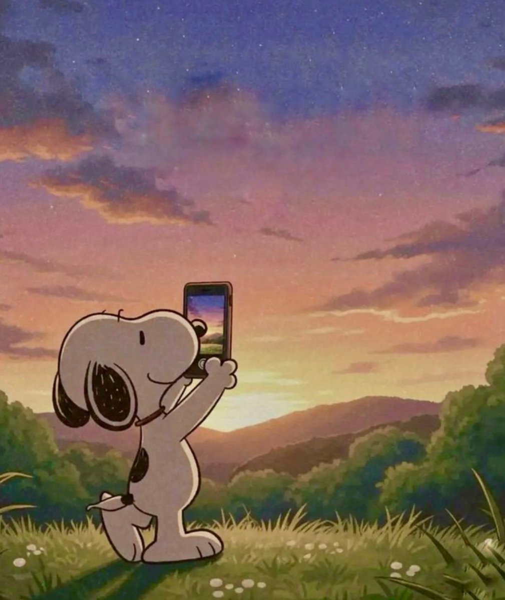 Snoopy (@snoopyphotos) on Twitter photo 