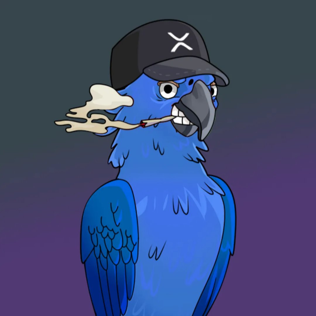 Hatter (@xnshihatter) on Twitter photo #XRP has #NFTs #NFTCommunity Get yourself a <a href="/XparrotsNFT/">XParrots / XRPL 🦜</a> get into the <a href="/XRPLRainforest/">XRAIN / XRPL RAINFOREST</a> discord and claim your daily $XRAIN token bonuses. And you can win extra $XRAIN like I just did today, and even nfts like this one I won a few months ago! #XRP has #NFTs #NFTCommunity Get yourself a <a href="/XparrotsNFT/">XParrots / XRPL 🦜</a> get into the <a href="/XRPLRainforest/">XRAIN / XRPL RAINFOREST</a> discord and claim your daily $XRAIN token bonuses. And you can win extra $XRAIN like I just did today, and even nfts like this one I won a few months ago!