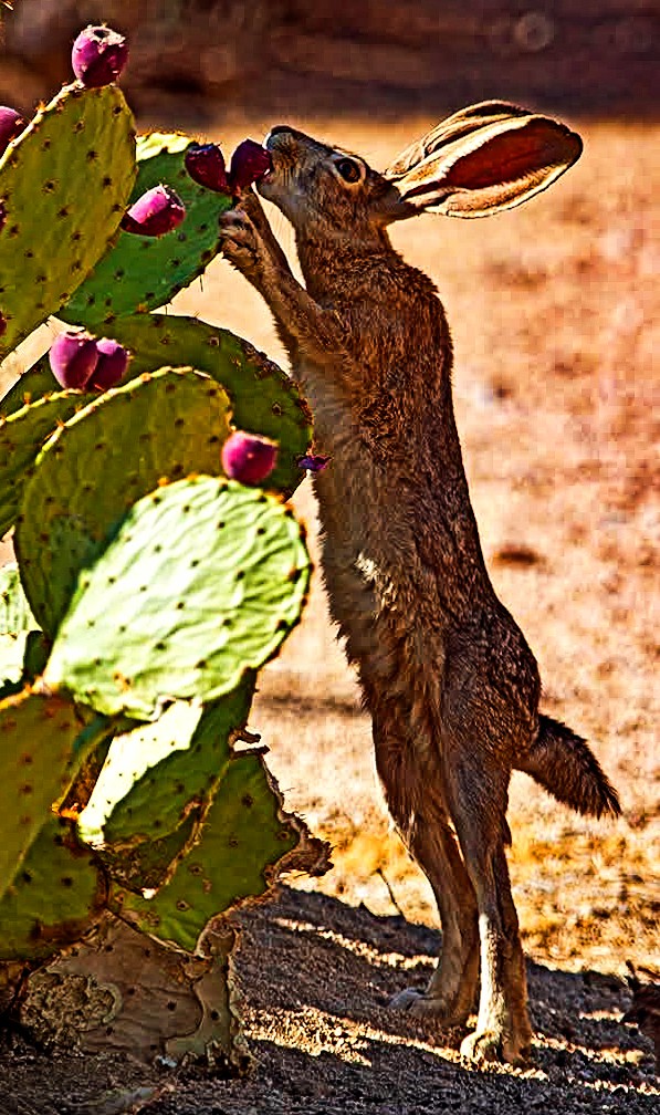 To get what we need we must stretch the envelope.  Voting won't get us there. #GoodMorningEveryone 
#SocialistSunday