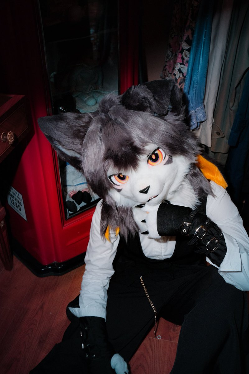 茶蔍子 tweet media