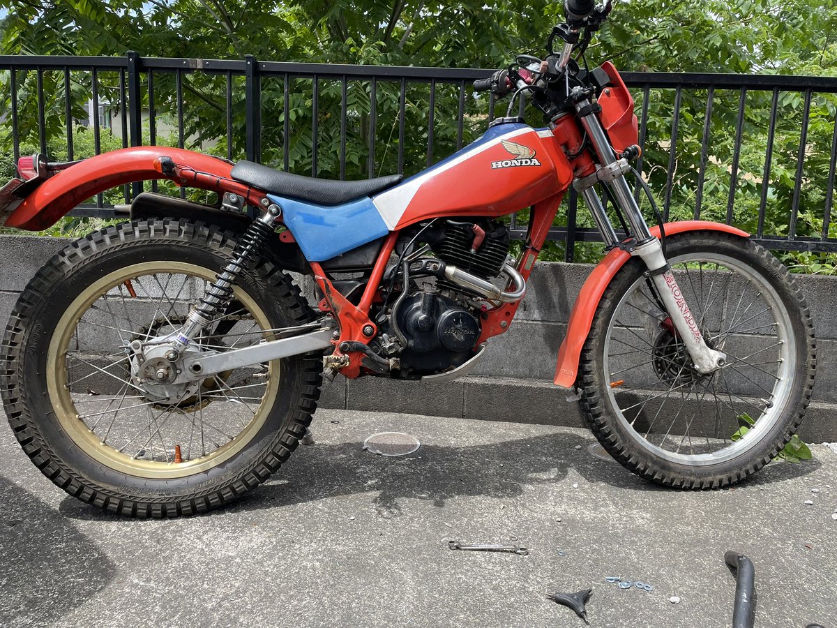 3_3)たぬき10/26ミニクロ (@tanuki5502) / Posts / X