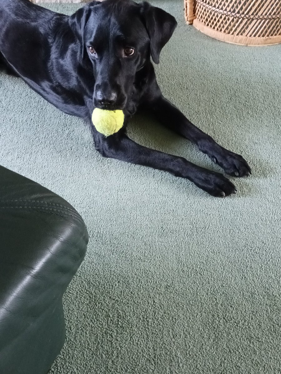 Not sure how this one can be 5 already but.....