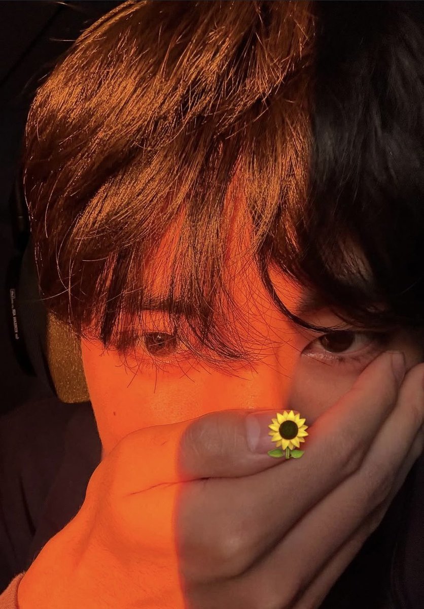 ひまわりの花言葉は、「あなたを見つめる」、「憧れ」、「情熱」

#BTSV #キムテヒョン #thv
#テテ #V'  #김태형 #KIMTAEHYUNG
#WeLoveYouTaehyung