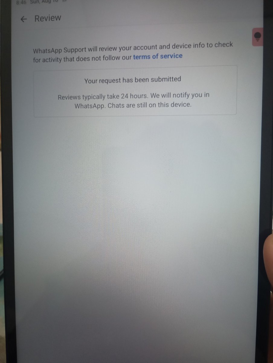 sheia ☘︎ tweet media