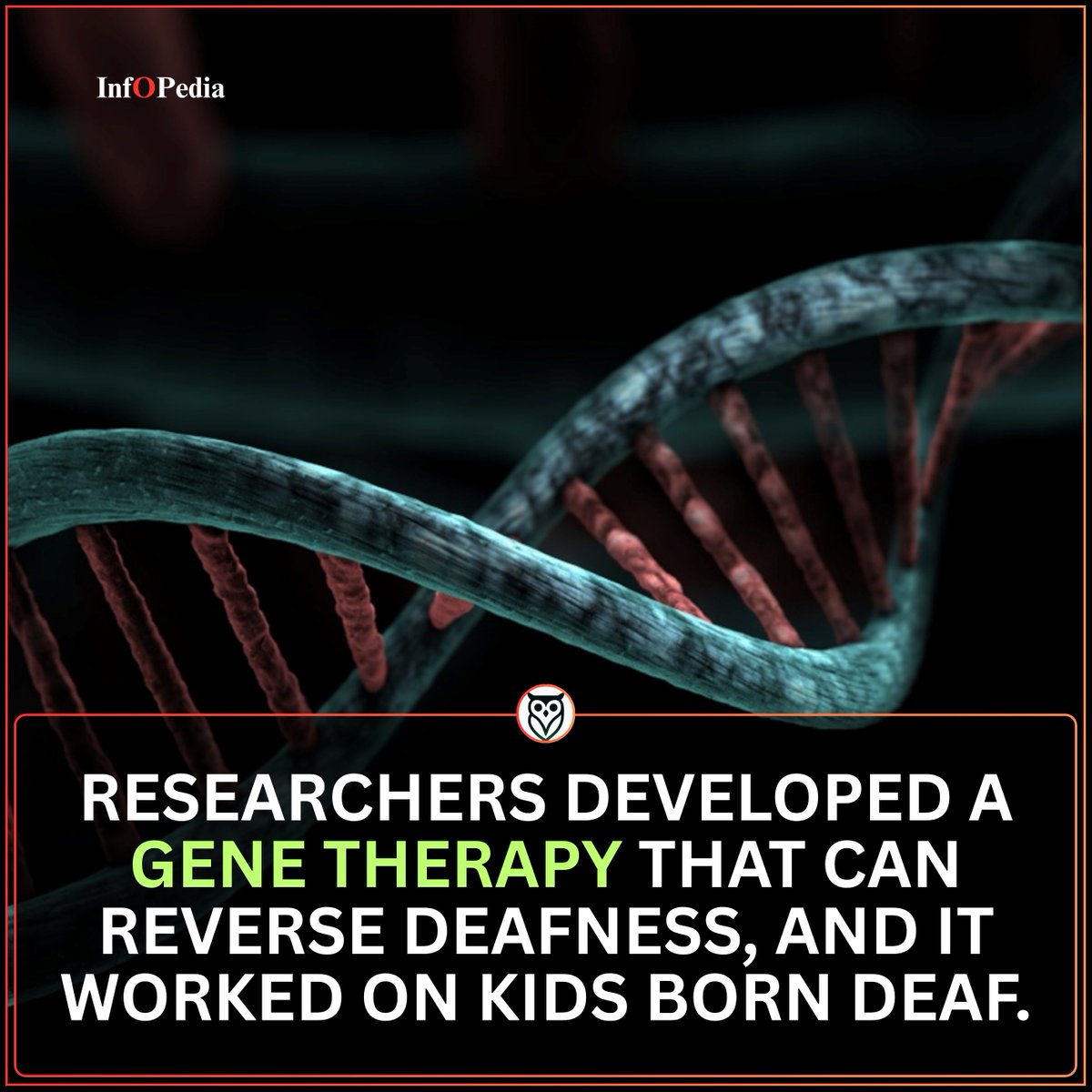 Inf⭕️Pedia tweet media