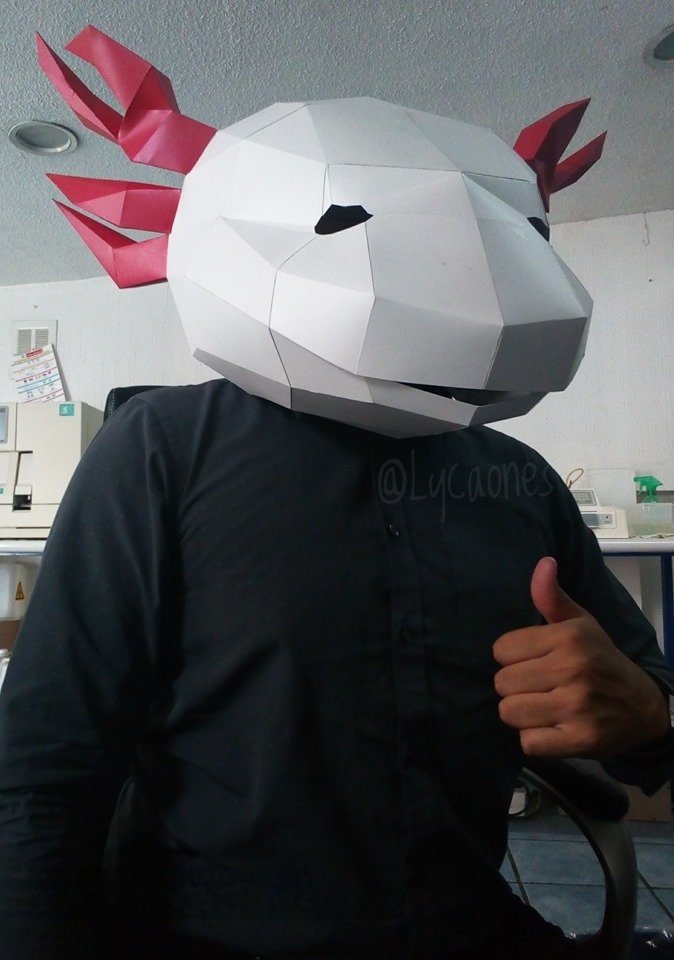 Entre tijeras, cartón y pegamento, este bricolaje derivó en una máscara de ajolote.