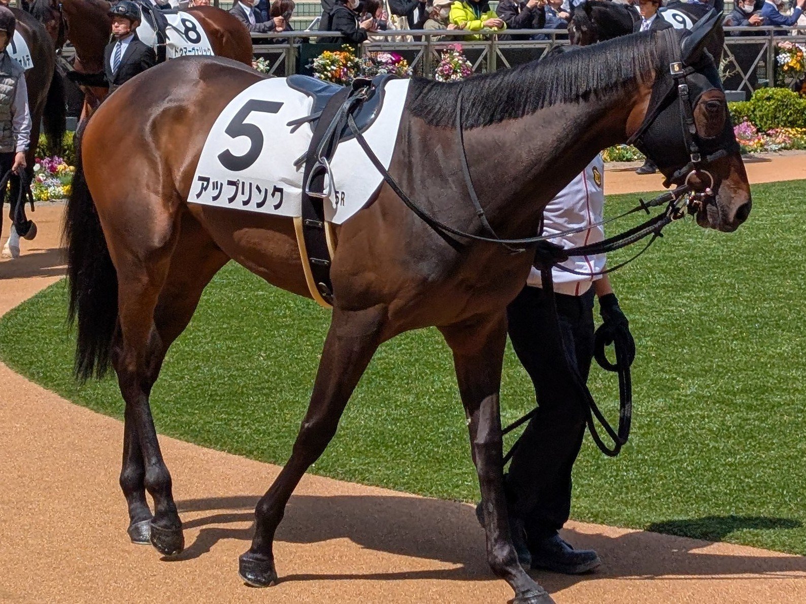 競走馬　THE VICTORY PLATINUM サラブレッド　未開封 超希少 競走馬 THE VICTORY PLATINUM サラブレッド 未開封
