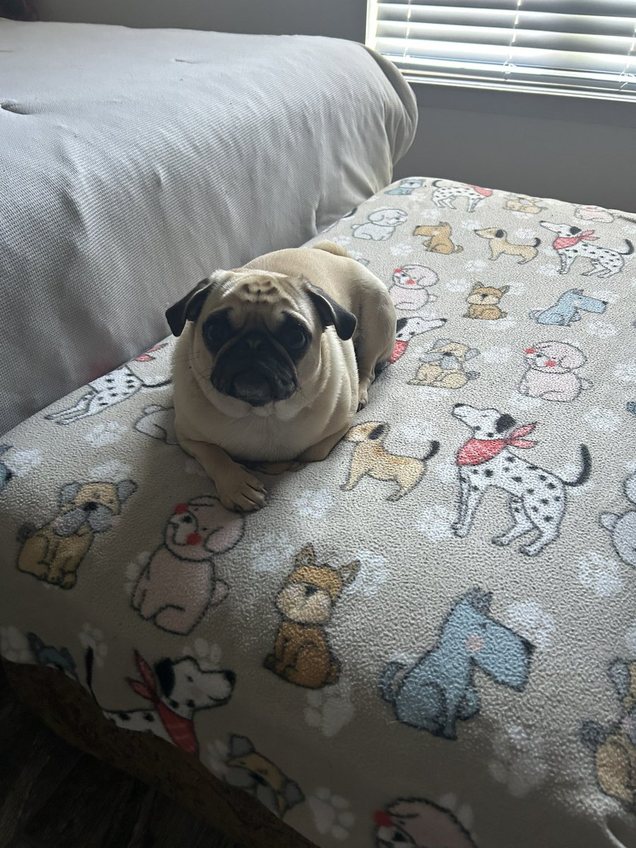 Amazing voices this morning  Thanks 😊  Happy #SocialistSunday 👊🏼 💗