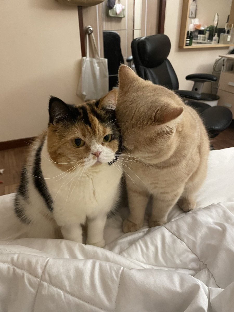 <a href="/yayee2548/">บีมกับน้องๆ</a> เป็นการอาบน้ำที่ตะเตือนไตมาก