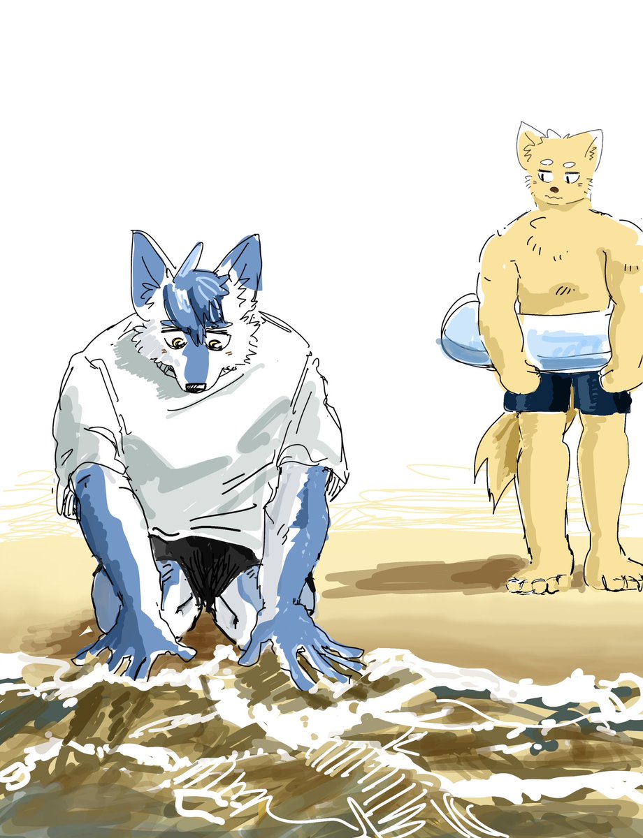 初めて海を触る犬と泳ぐ気マンマンの犬