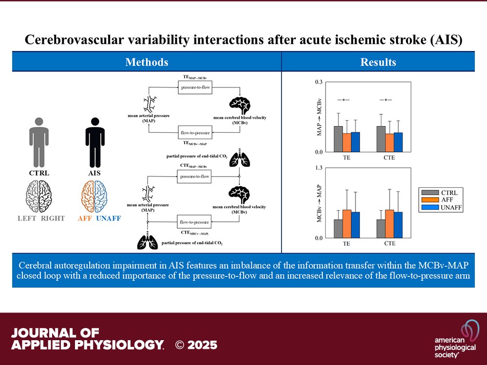 Journal of Applied Physiology (@japplphysiol) on Twitter photo Research Article by F Gelpi and B Cairo et al. (<a href="/DrJMinhas/">Jatinder Minhas</a>) #Cerebrovascular variability interactions after acute #ischemicstroke: insights from directionality analysis based on #transferentropy
ow.ly/NsE050WzBus Research Article by F Gelpi and B Cairo et al. (<a href="/DrJMinhas/">Jatinder Minhas</a>) #Cerebrovascular variability interactions after acute #ischemicstroke: insights from directionality analysis based on #transferentropy
ow.ly/NsE050WzBus