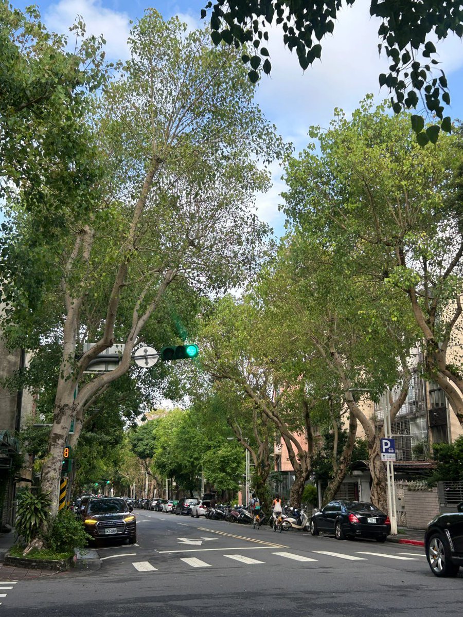 這裡綠綠的超級舒服 好天氣在這裡散步很棒 漂亮的隱藏咖啡廳也很多😘