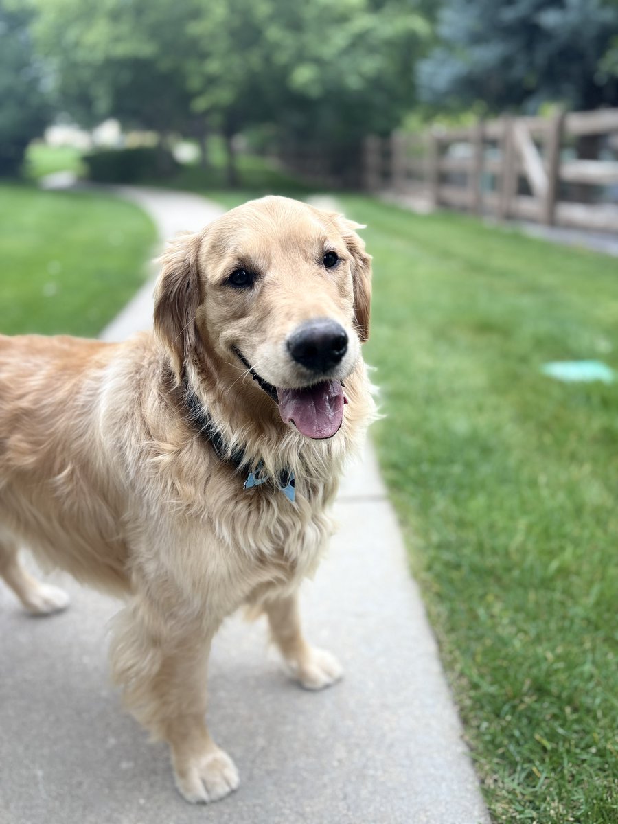 Sunday mornings are improved by a smiling Brodie and then church.