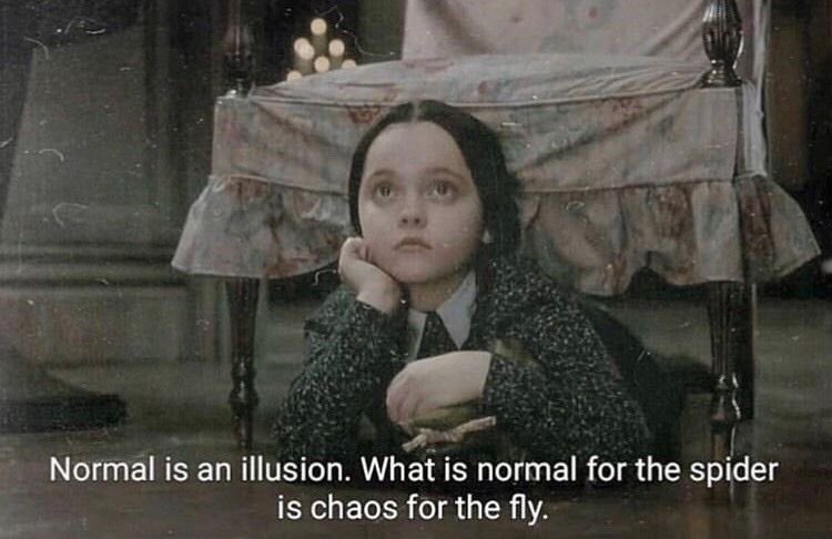 정상성은 환상이야. 거미에겐 정상인 게 파리에겐 혼돈이지. - 아담스 패밀리