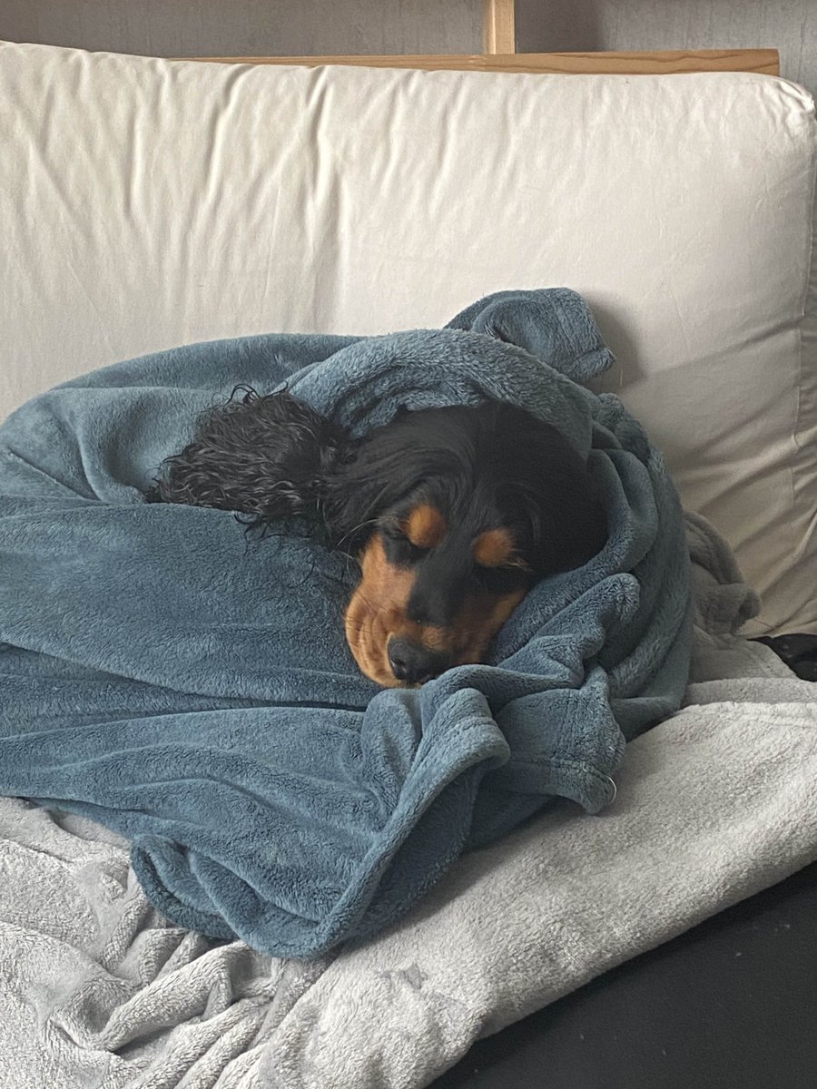 We beat our toughest opponents of the split, gg <a href="/skillcamp_gg/">Skillcamp</a> !

Une 2ᵉ 2-0 week d’affilée, on est dans une bonne dynamique  gogogogo ✌️