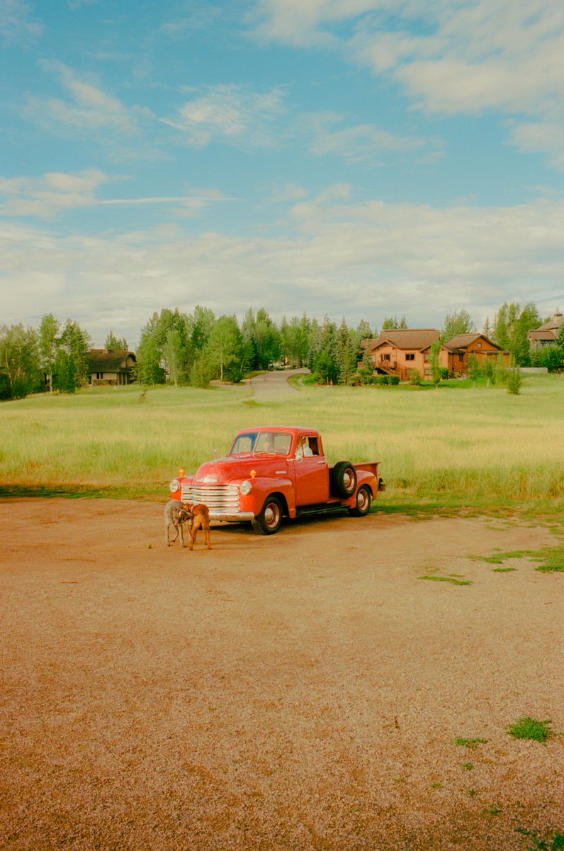 Shades of red 🎞️