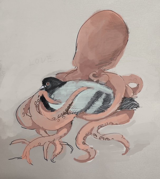 ハトの日だったらしいので… 