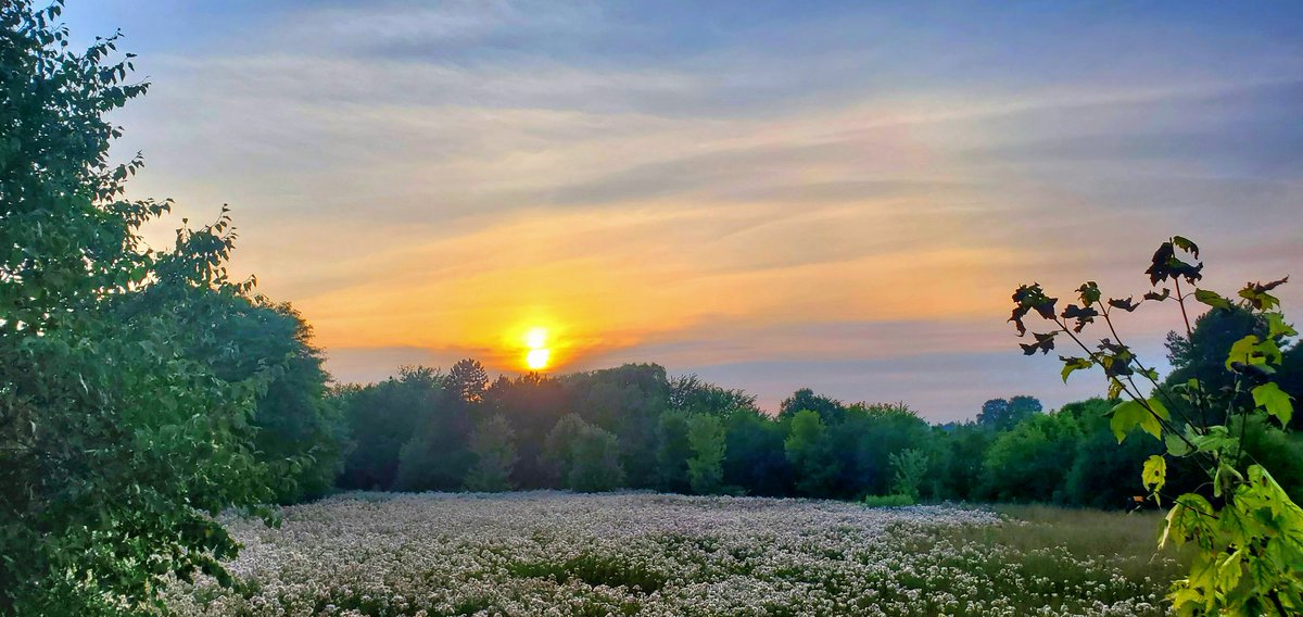 jacquesLeStrap1's tweet image. Yesterday&apos;s #Sunset . I wasn&apos;t looking to catch it, but it was there while I was out sooo... #keepitsmooth