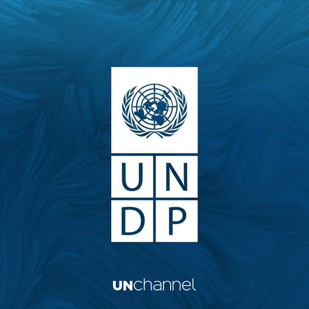 Unchannelorg's tweet photo. United Nations Development Programme (UNDP) announced new jobs for various positions, in different countries. You can find all job details and application procedure at:

➤ https://t.co/P64jZdoP3f

#UnitedNations #unjobs #unitednationsjobs #unvacancies #UN #UNDP #UNDPjobs https://t.co/5VbiyQsqvS