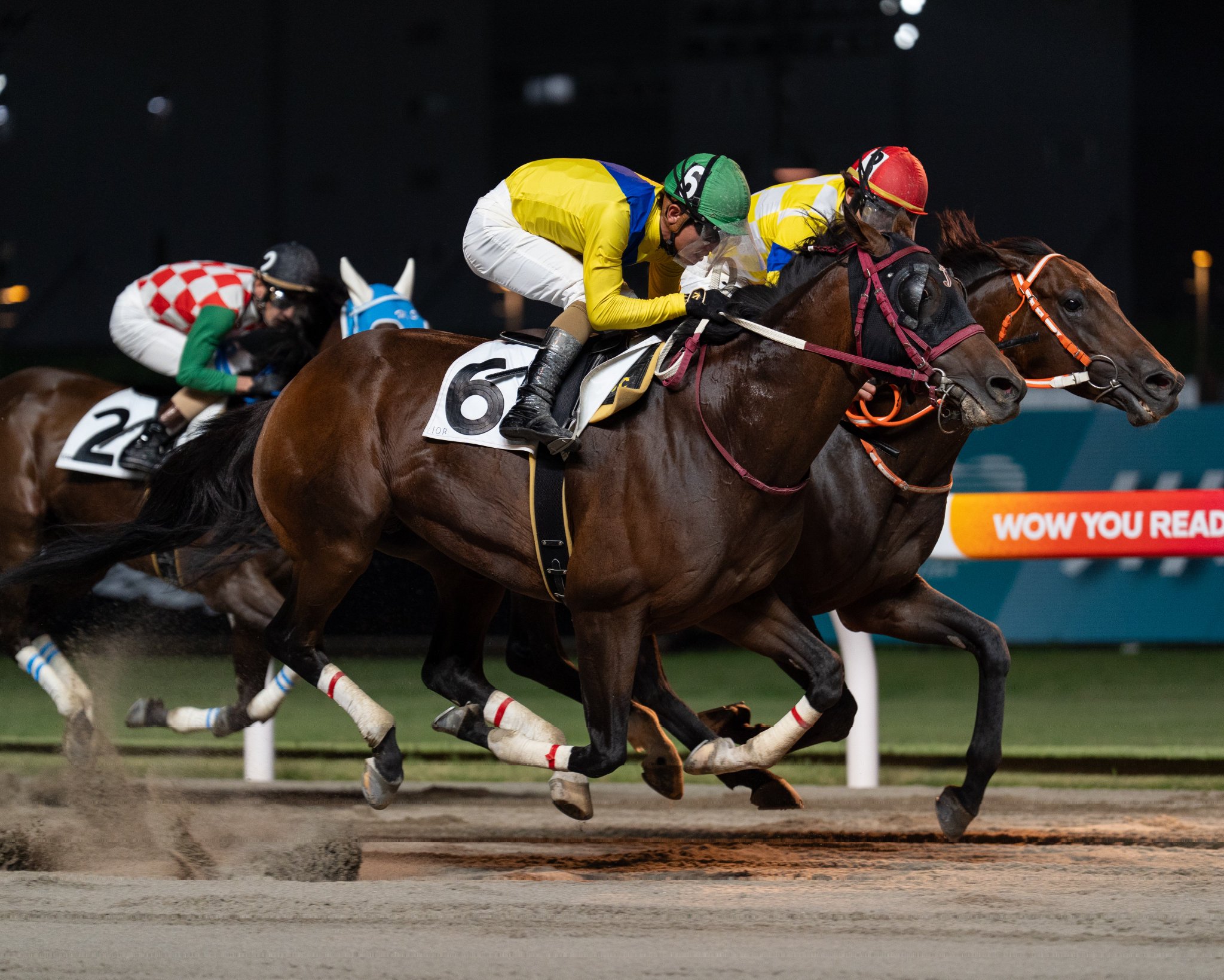 競馬 2023/02/19 小倉競馬4R 4歳以上障害未勝利 2890m ④ワンダー