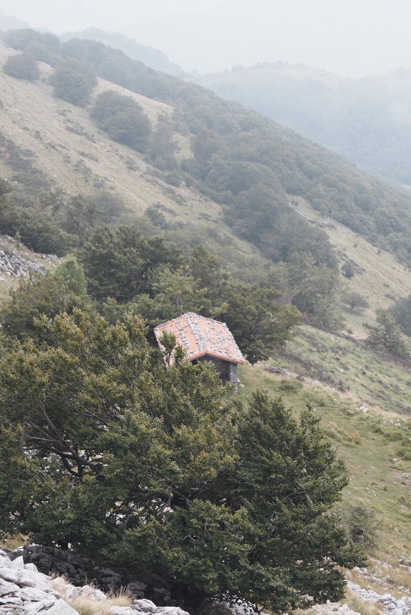 Countryside in 4 stills.
From sunny yellow to rainy white.