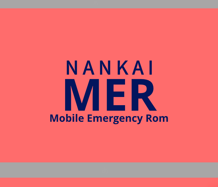 MERのユニフォームを再現 東京､横浜､🌺南海 #TOKYOMER #MER