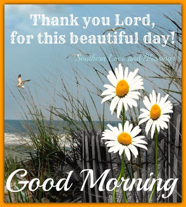 Good Sunday morning! ☀️☕️ Wishing everyone a blessed day! 😊🙏🏻