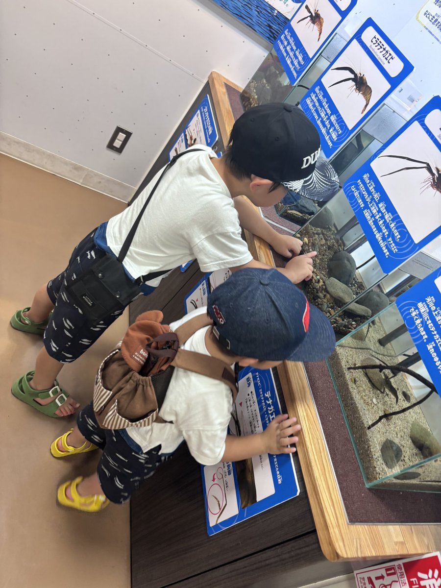 6730Zun's tweet photo. 小規模水族館開拓してきました 大変良きでした
👦👶エビーーーーッ https://t.co/7bWWZ7LEnn