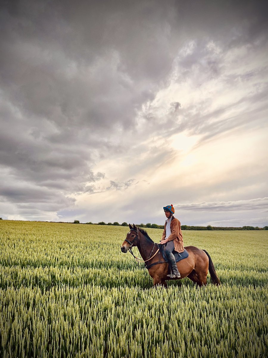 Lucy @ Highfield Creations tweet media