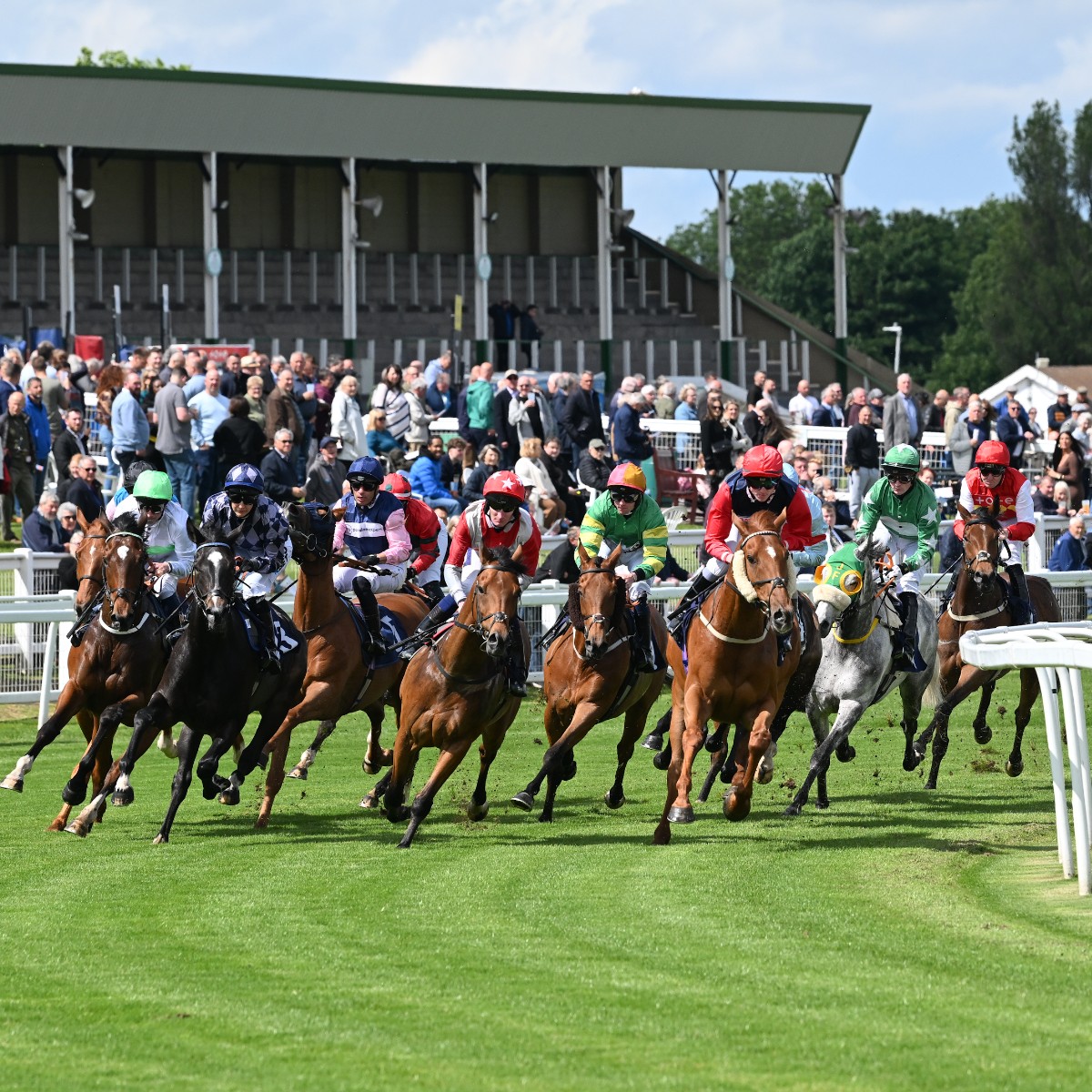 🐦Pigeon🐎Island🐦 (@pigeon_island) on Twitter photo 🐎Horse Racing Tipping Competition🐎
🐎 SUNDAY 3 AUGUST 🐎 #QuickSwoop4
<a href="/GTYarmouthRaces/">Great Yarmouth Races</a> 307 342 412 442
📺 <a href="/SkySportsRacing/">Sky Sports Racing</a> 📺 #OpenToAll ✅ 🐎Horse Racing Tipping Competition🐎
🐎 SUNDAY 3 AUGUST 🐎 #QuickSwoop4
<a href="/GTYarmouthRaces/">Great Yarmouth Races</a> 307 342 412 442
📺 <a href="/SkySportsRacing/">Sky Sports Racing</a> 📺 #OpenToAll ✅