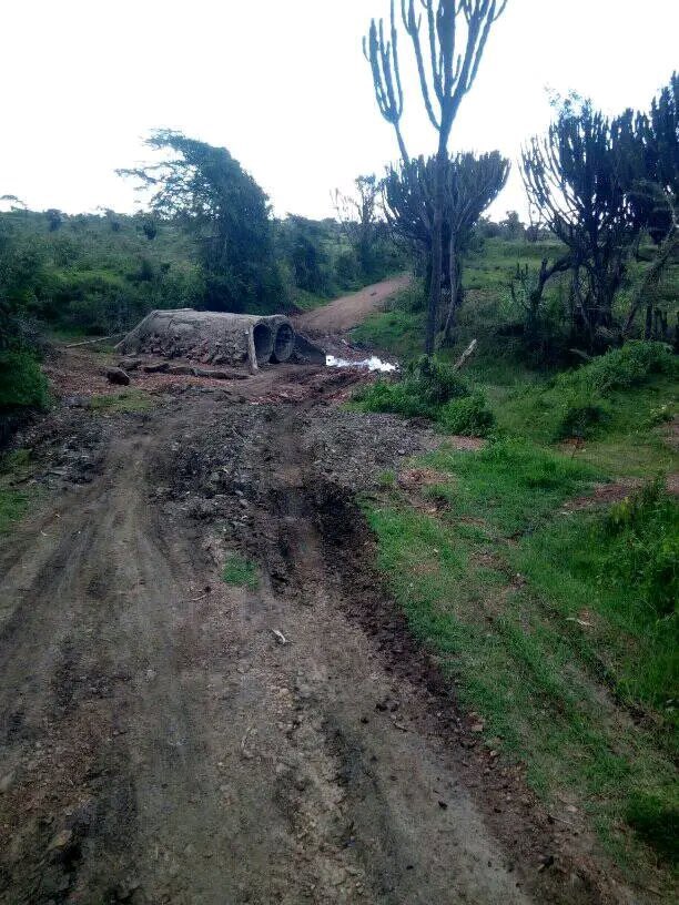 Kibet_bull's tweet photo. Engineer https://t.co/mhURnKsNBJ