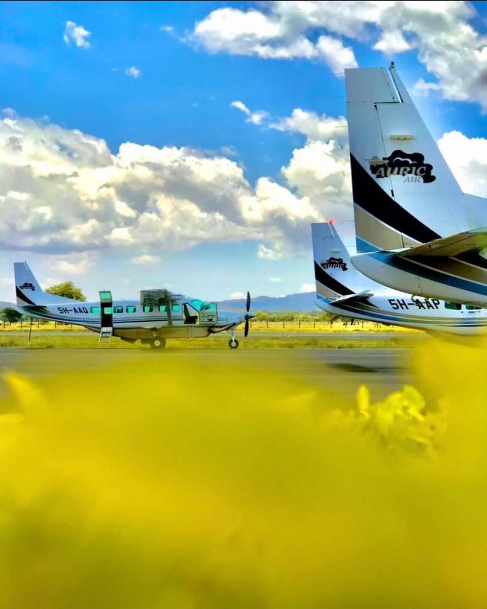 auricair's tweet photo. Lined up and ready for adventure! ✈️🛩️
A perfect shot of our Auric Air Cessna Caravans with tails to the sky — standing proud and prepared to connect you to Tanzania’s wildest wonders. 🌍🦓
•
•
•
•
•
📸 @nax_reen
•
•
•
•
•
#CessnaCaravan #FlyingSafaris #FleetReady https://t.co/qFo1ENvsiL