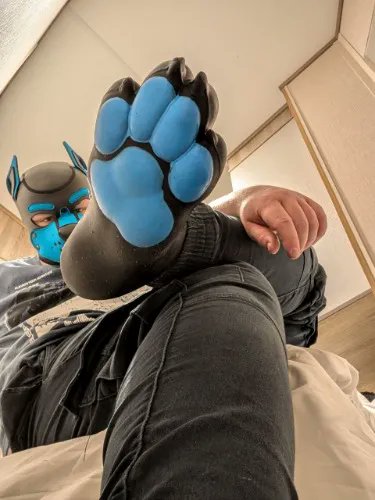 Ca$hMaster Hazard 🐺💰 tweet media