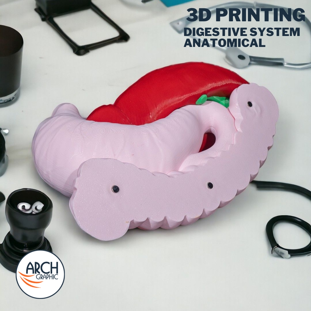 3d_archgraphic's tweet image. 🩺 3D Printed Digestive System Model 🔬
High-detail anatomical model for medical education
arch-graphic.com
#3DPrintingUAE #Medical3DPrinting #DigestiveSystem #AnatomicalModels #Healthcare3DPrinting #MedicalEducationUAE #SurgicalTraining #UAE3DPrint