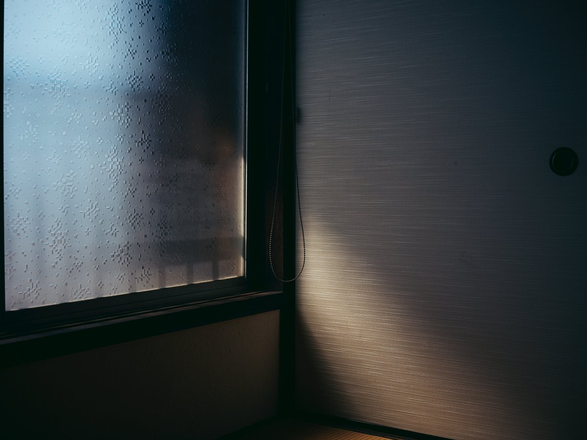 高橋 伸哉/写真作家/写真集/新刊「堕花」「impermanence」「IN THE ZONE」 tweet media