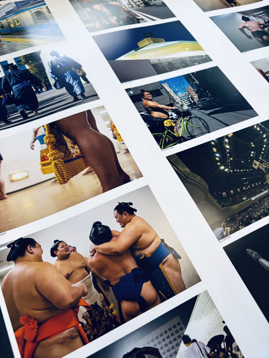 フランス初の本格相撲展「SUMŌ – 究極の均衡」 📅2025年8月2日〜2026年