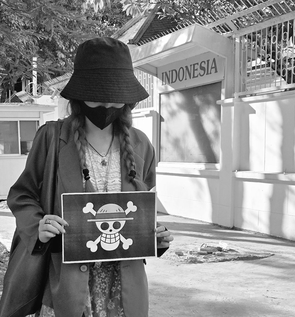 Just an ordinary One Piece fan
