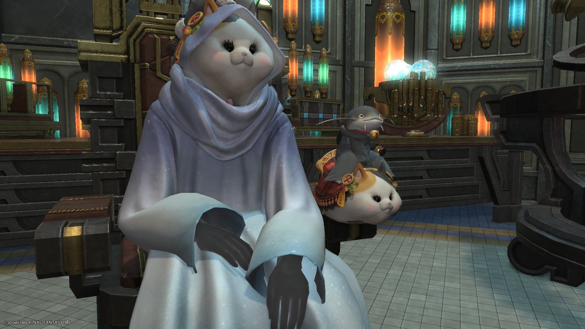 猫の監視者
#FF14