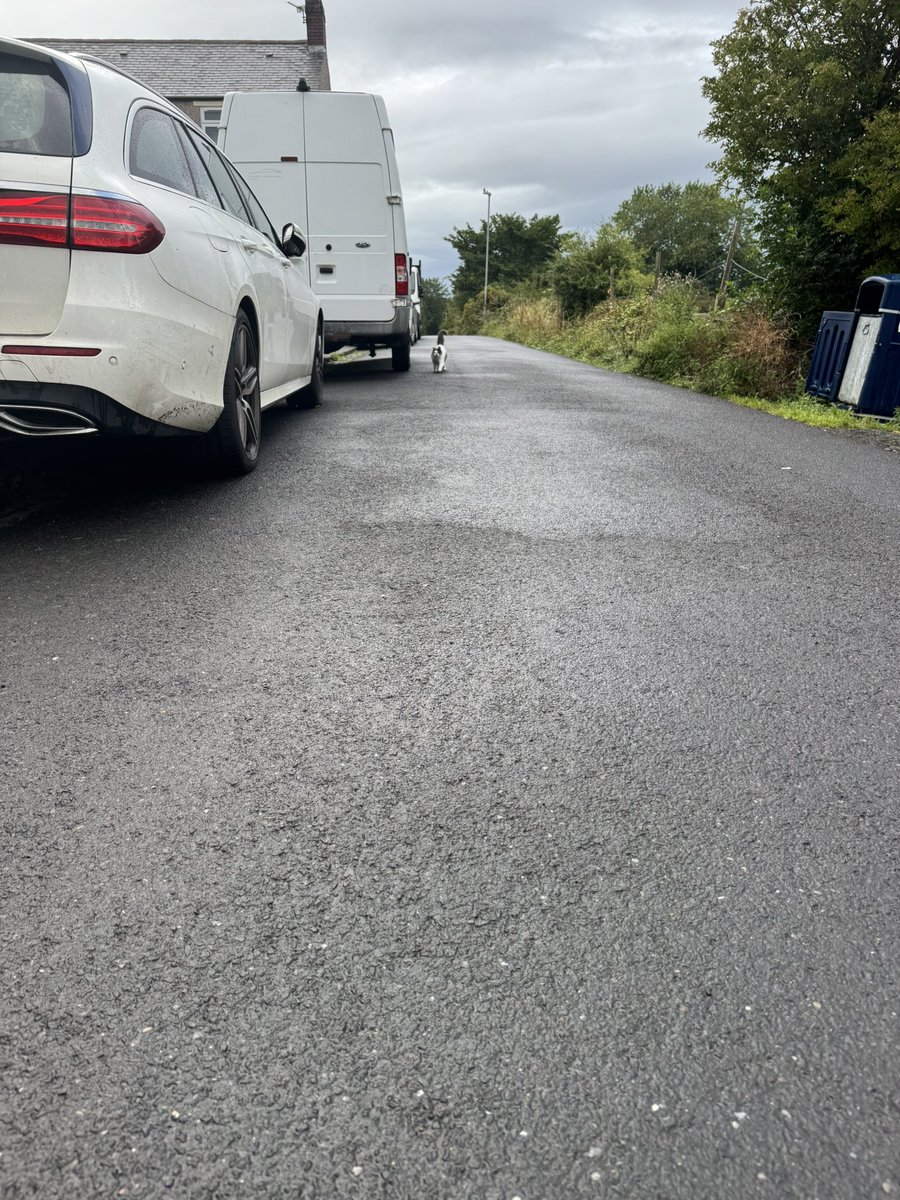 SpanielsSuper's tweet photo. Mum had to go out very early #AbandonedAgain
She was sneaky & put her car out last night! #NotFair #TrickedUs
As she walked to it she heard screaming meowing…. & saw this
#MuuuuuuuuuumToBe hurtling towards her.
Big fusses & cuddles 🥰
#MoveInMartha https://t.co/8yMf104UCm